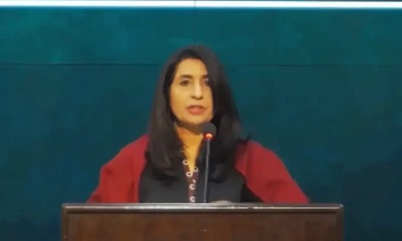 Pakistan&rsquo;s electoral process internal sovereign affair: FO