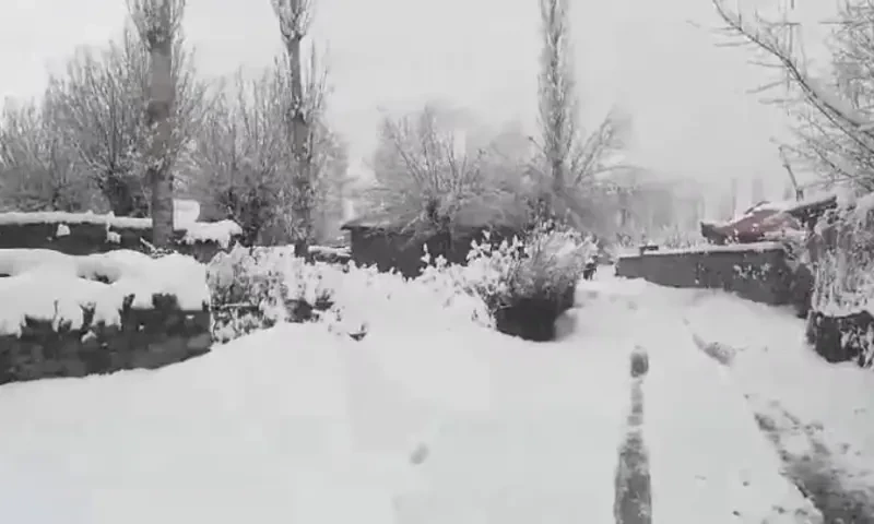 Daily life disrupted as parts of Gilgit, KP receive heavy snowfall