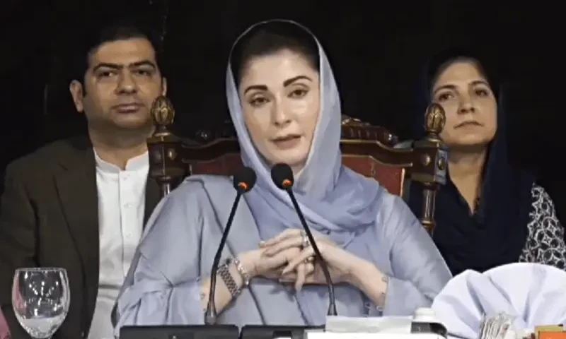 PML-N nominee for Punjab CM Maryam Nawaz quits National Assembly seat