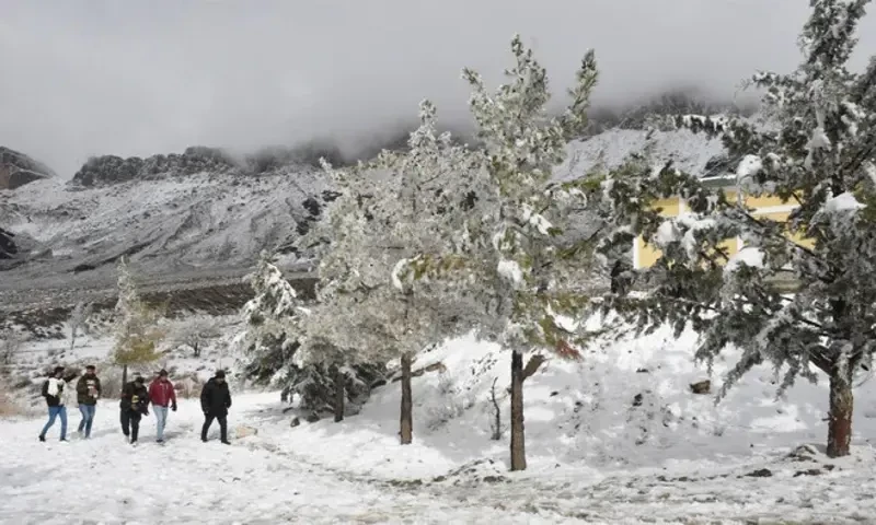 PDMA forecasts more snowfall, rain in KP from Feb 25