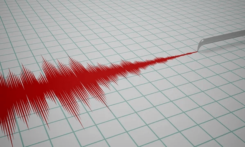 Multiple cities in Punjab shaken by earthquake
