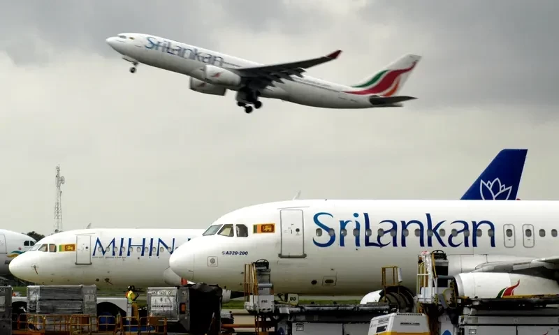 Rat on a plane sparks worries for Sri Lanka&rsquo;s airline