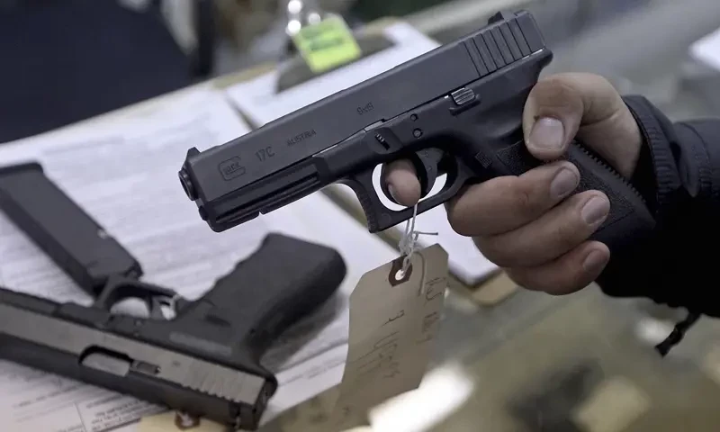 Fact check: Did Punjab suspend arms licences?