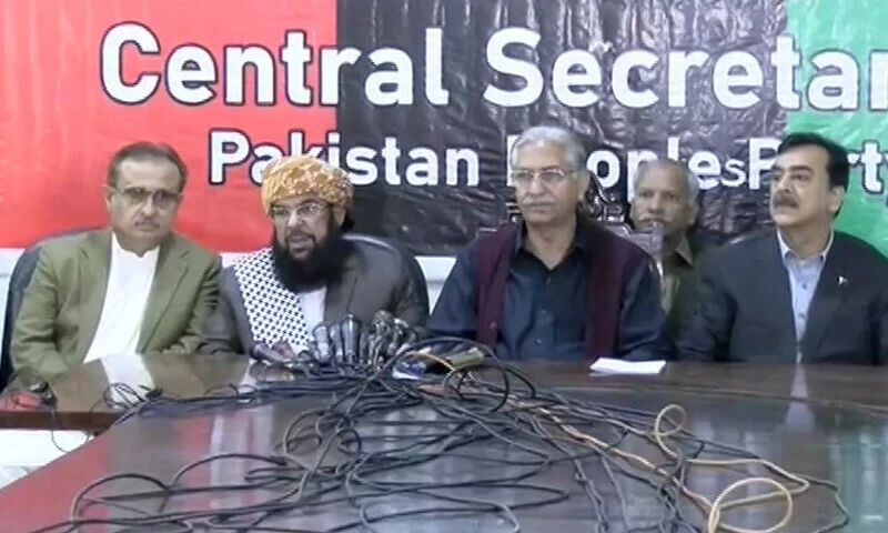 JUI-F forms alliance with PPP for Senate election