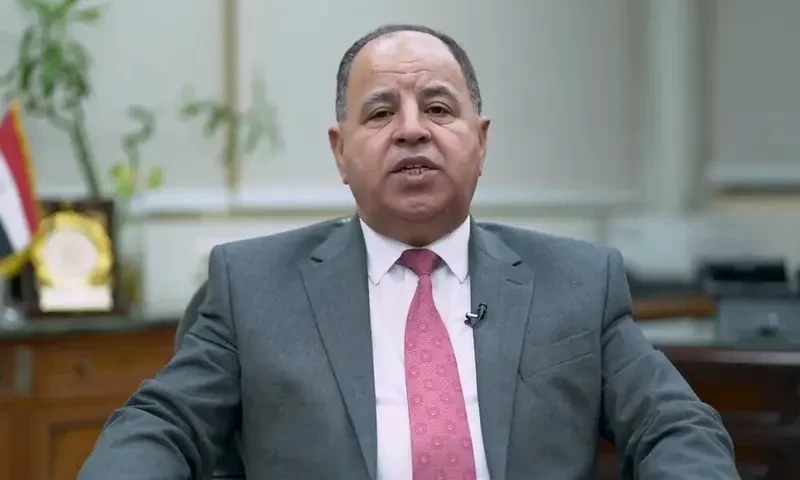 Egypt pursuing further sale of state assets after UAE buys beach land