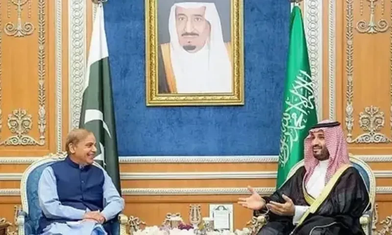 Saudi crown prince reaffirms support to Pakistan in phone call with PM Sharif