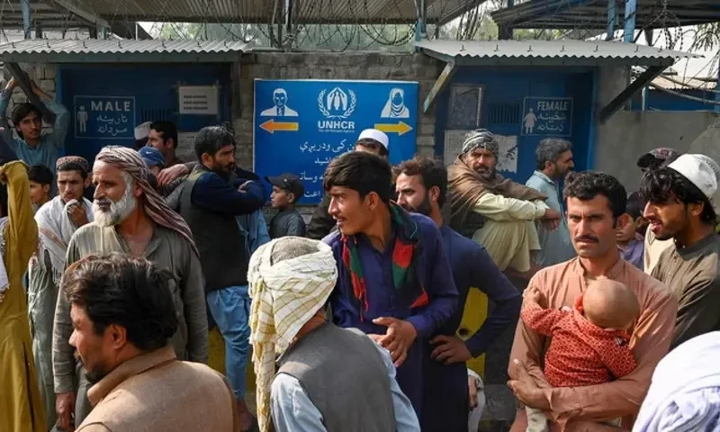 Second phase of illegal Afghan refugees&rsquo; deportation to begin after Eid: sources