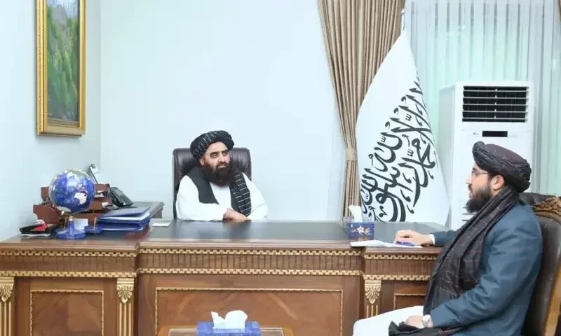 Pakistan, Afghanistan make progress towards normalising ties