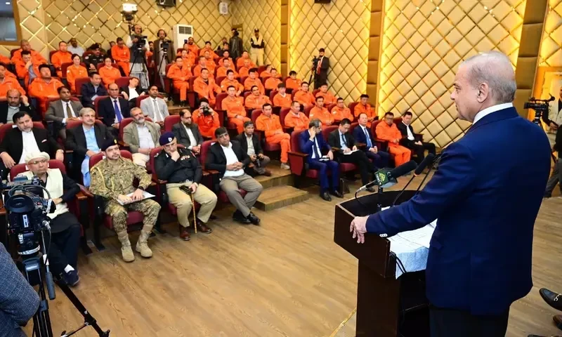 PM Shehbaz vows to provide foolproof security to Chinese nationals