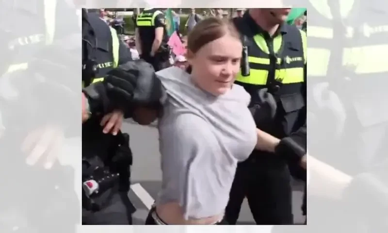 Fact check: Was that picture of Greta Thunberg manipulated?