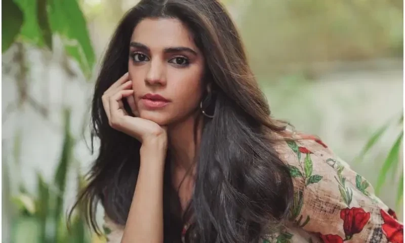 Sanam Saeed shares her opinion on increasing divorces