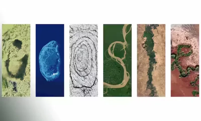 Google commemorates Earth Day with stunning Doodle