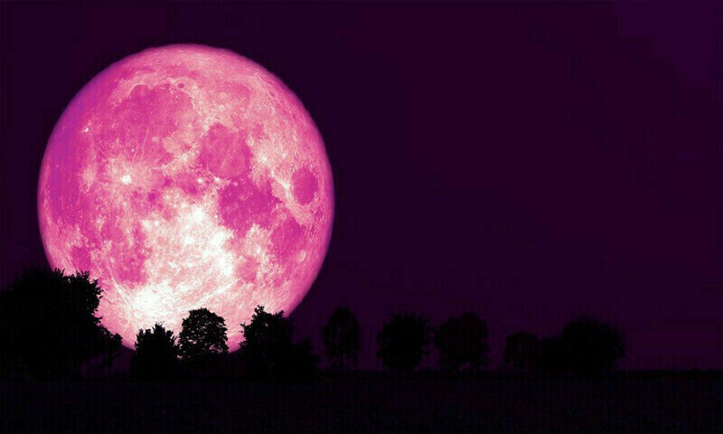 Pink moon lits Pakistani sky