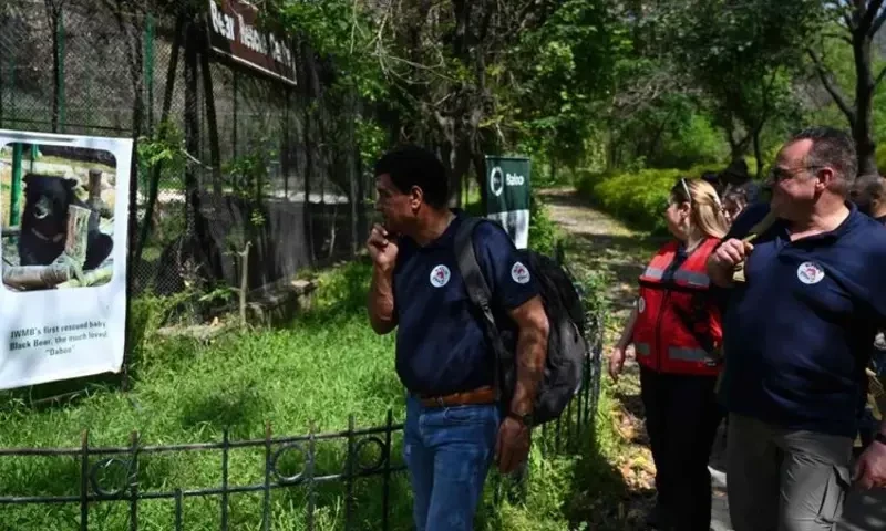 Pakistan horror zoo is reborn as rehab centre