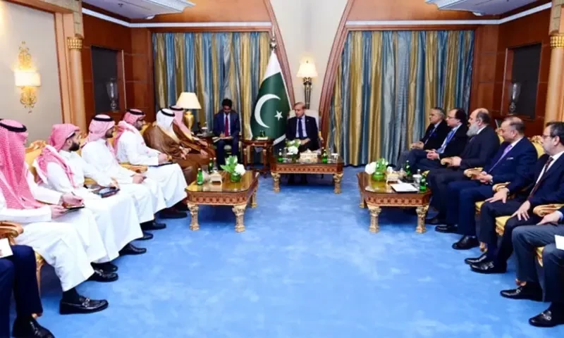 Pakistan, Saudi Arabia vow to boost bilateral economic ties