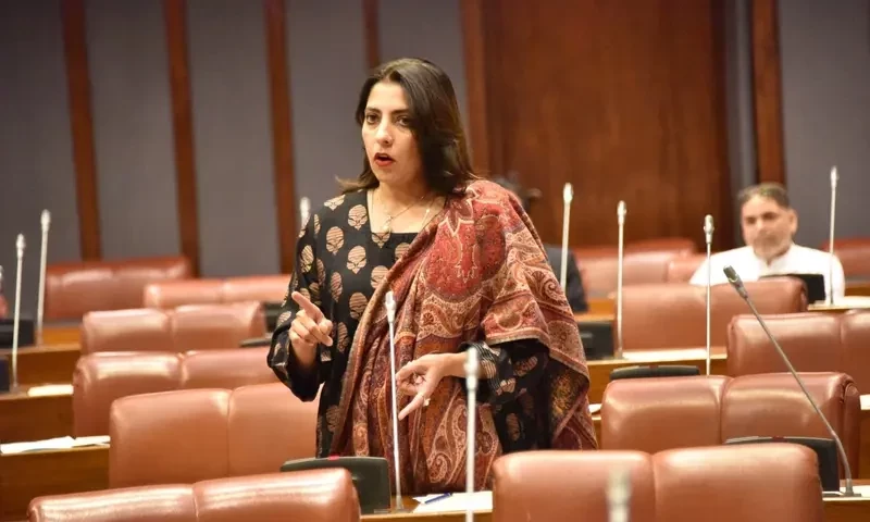 PPP Senator Palwasha demands inquiry into solar panel tax news