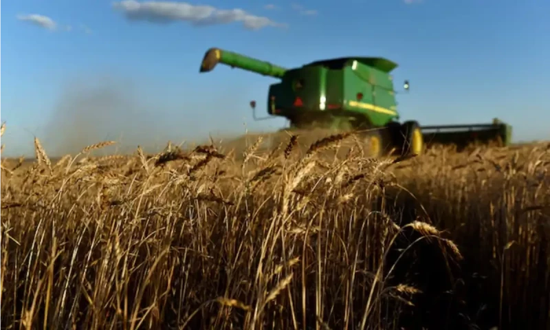 What did humans eat before agriculture?