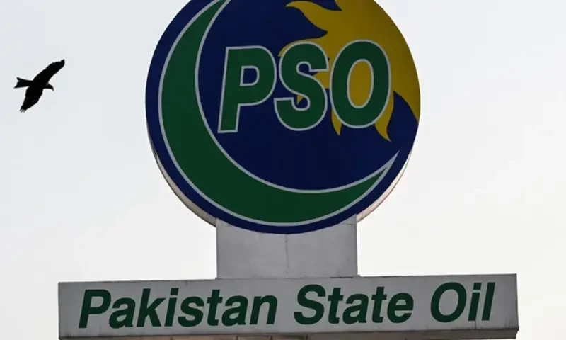 PSO proposes swapping debt for stake in public sector companies