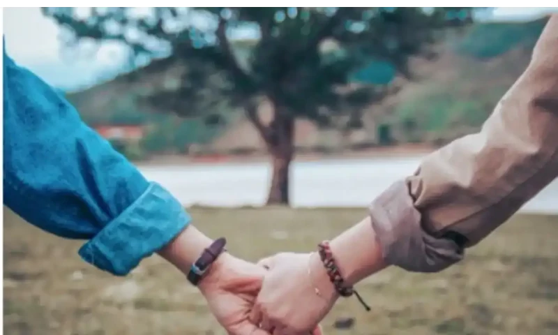 Friendship-marriage gains popularity in Japan
