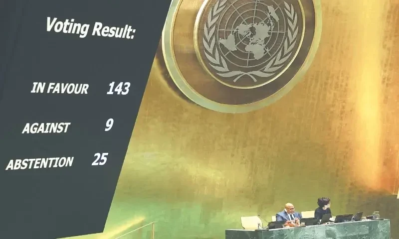 UN General Assembly backs Palestinian bid for membership