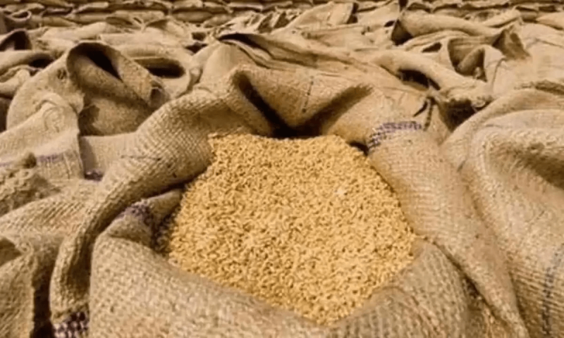 Maryam announces Rs400 billion package for farmers