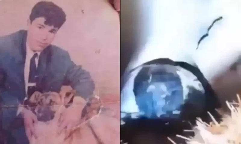 Algerian man recovered after 26-year disappearance