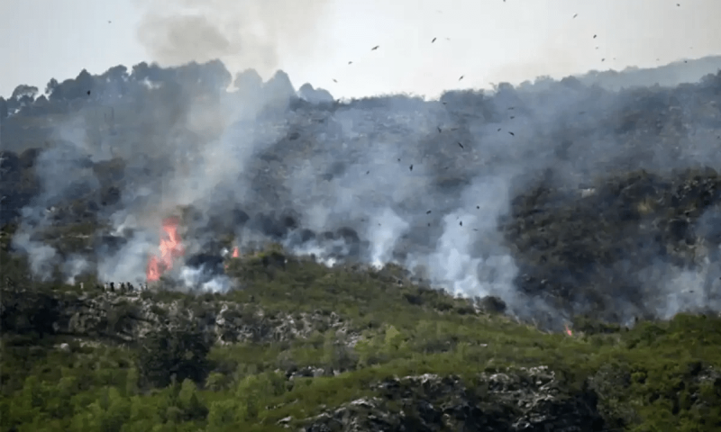 Wildfire erupts in Margalla Hills