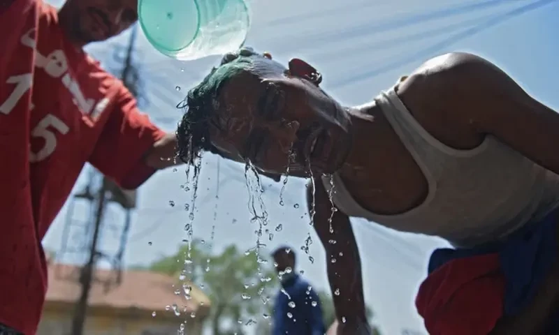 What to do during a heatwave