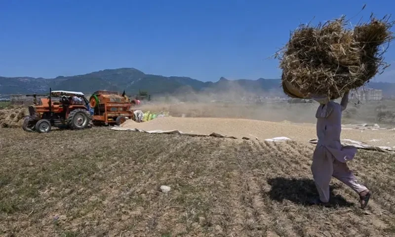 Pakistan GDP grows 2.09% in Q3, supported by agriculture