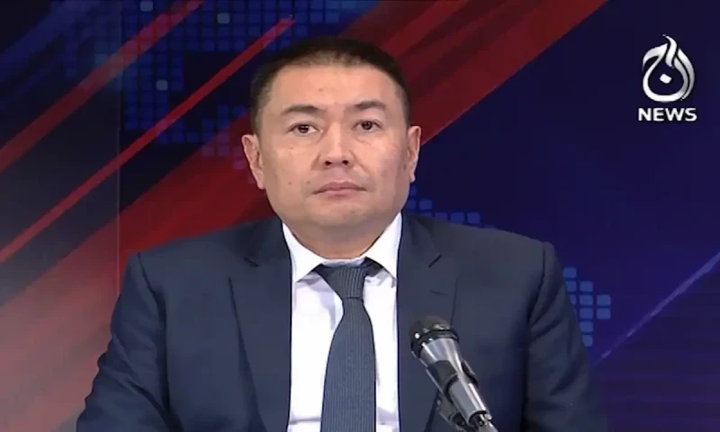 Kyrgyz ambassador blames foreign govt for recent unrest
