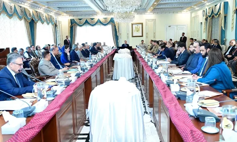 SIFC&rsquo;s apex committee urges timely accomplishment of privatisation milestones