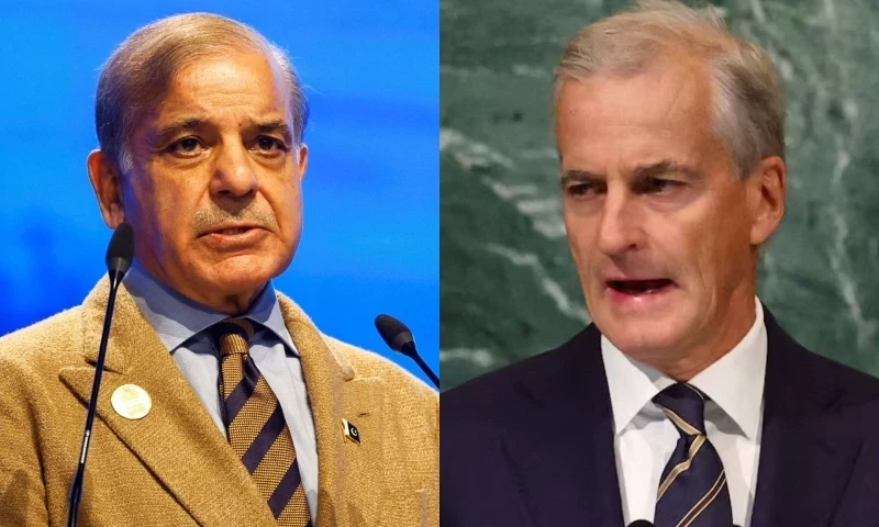 PM Shehbaz pins high hopes for Palestine after three European countries decision