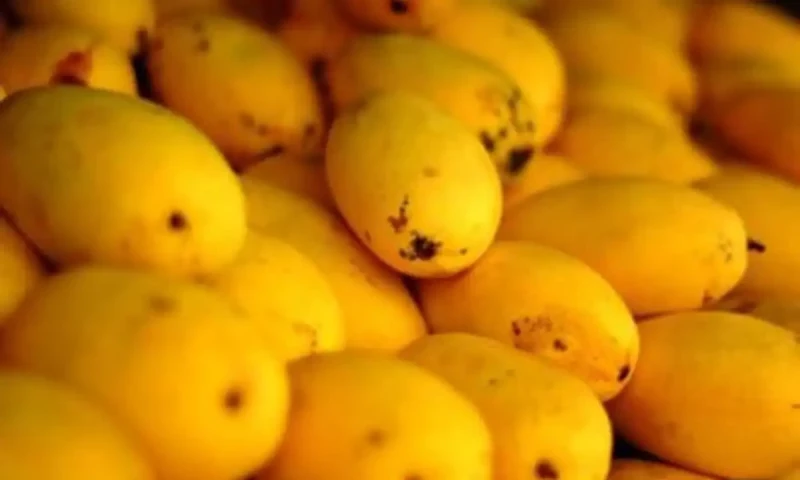 What is the rate of Pakistani mangoes in UAE?