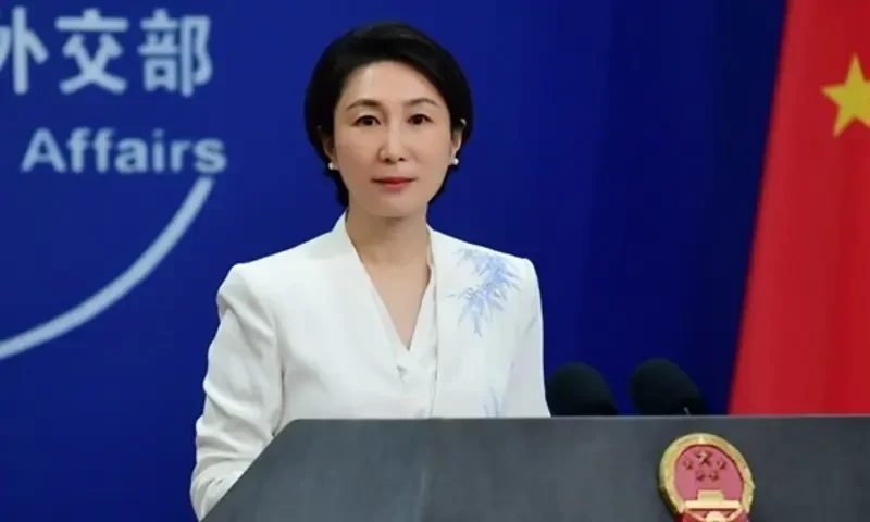 China &lsquo;supports&rsquo; Pakistan in hunting down Bisham attack perpetrators