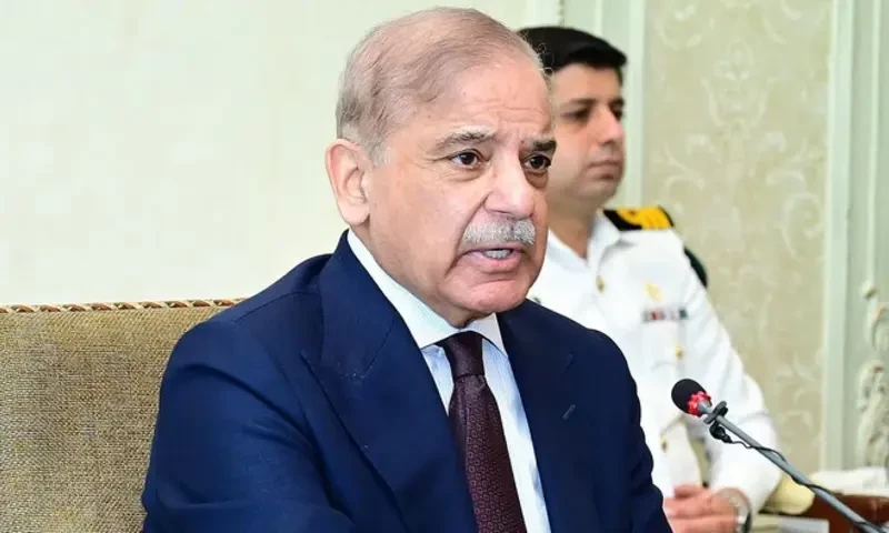 PM Shehbaz forms Cabinet Committee on SIFC