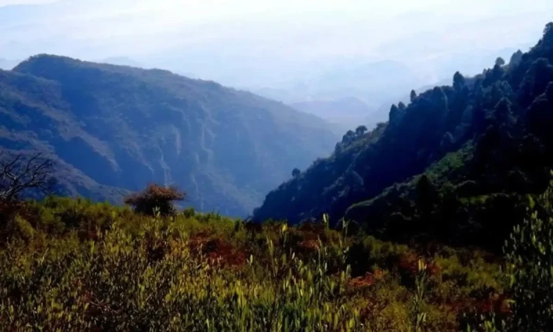 Taha was struggling to breathe: Police record statements of five friends in Margalla Hills teen&rsquo;s death case