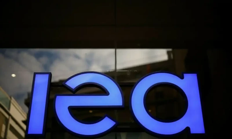 World falling short on 2030 renewables goal: IEA