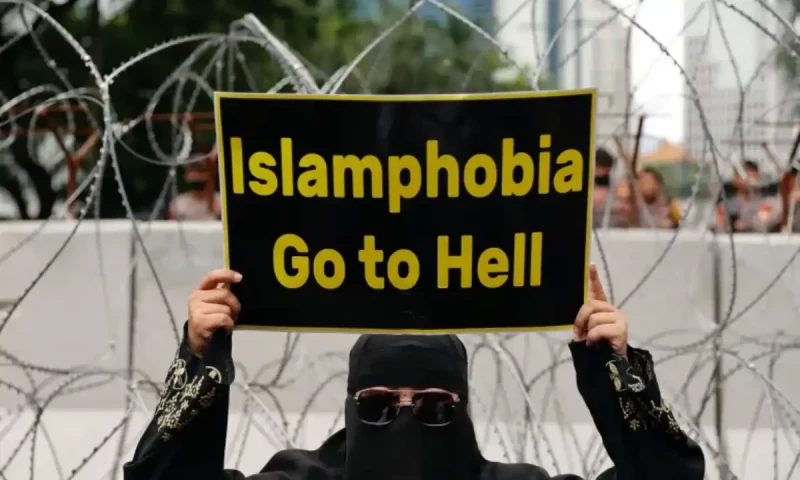 Pakistan, T&uuml;rkiye & Indonesia call for united action to combat rising Islamophobia