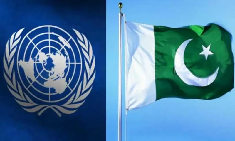 Pakistan participates in UNSC election to become non-permanent member