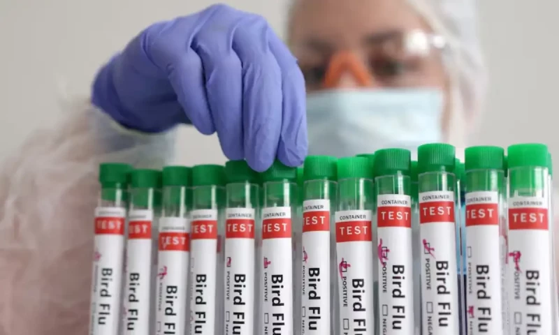 Person with bird flu died in Mexico, WHO says