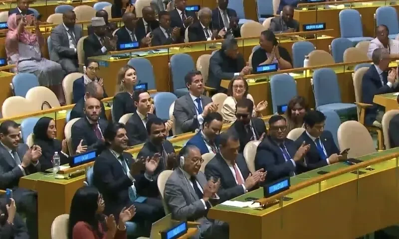 Pakistan wins non-permanent seat on UN Security Council