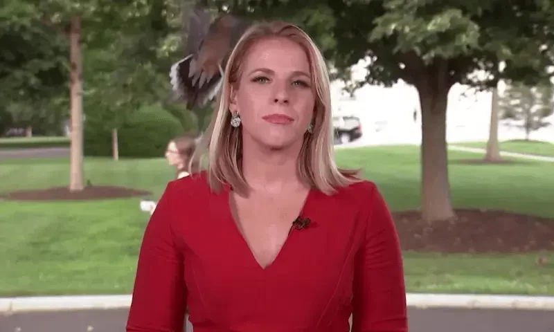 Bird lands on reporter&rsquo;s head during live broadcast