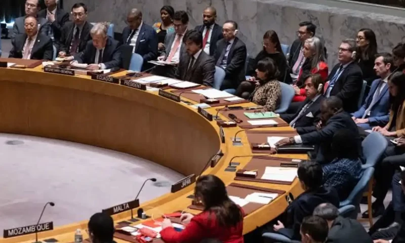 UN Security Council backs Gaza ceasefire plan after 8 months of Israeli siege