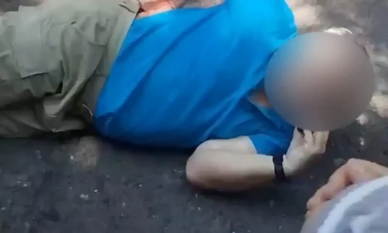 Four American educators stabbed in park in northeast China