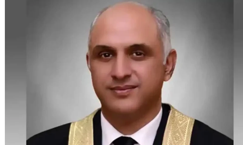 &lsquo;Half of government will be prosecuted if tracers are summoned&rsquo;