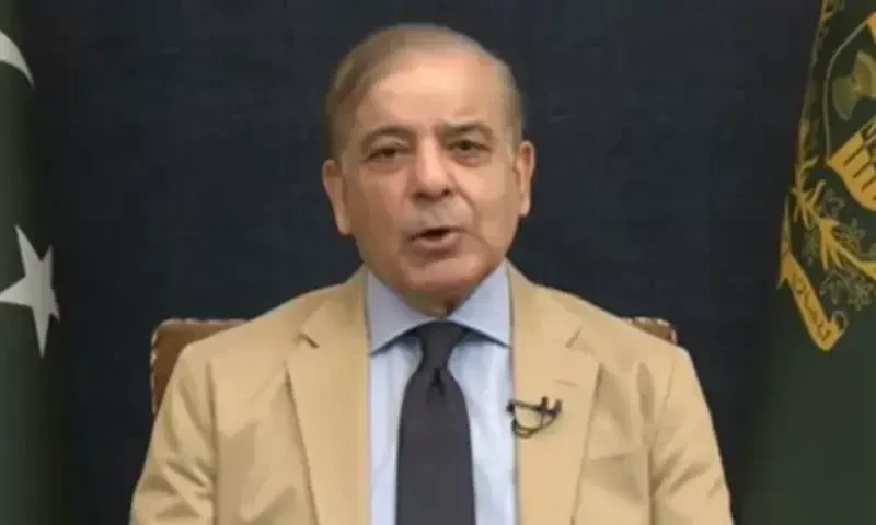 Won&rsquo;t tolerate pressure to make tough decisions, says PM Shehbaz