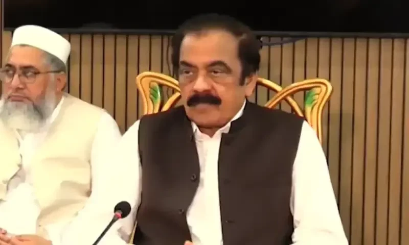 PPP&rsquo;s objections to budget are 100% correct, says Sanaullah