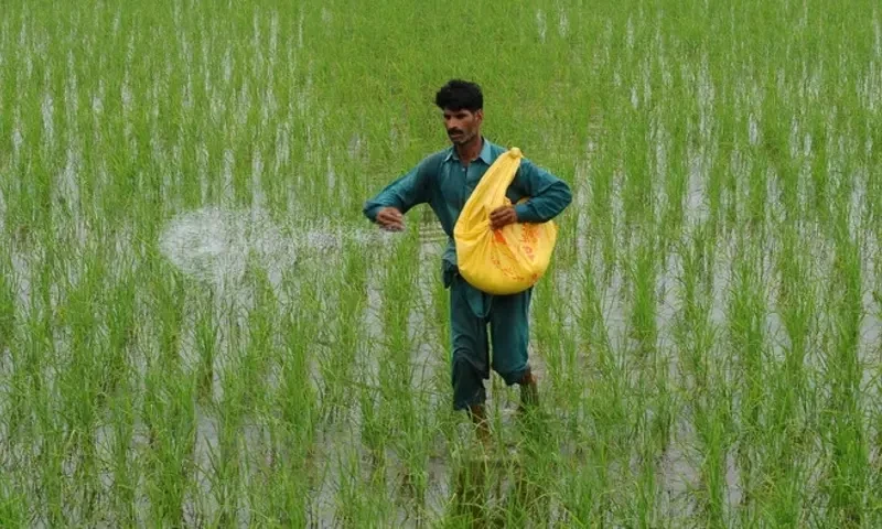 Fertiliser sector avails massive Rs252.6b tax exemption in 2022-23