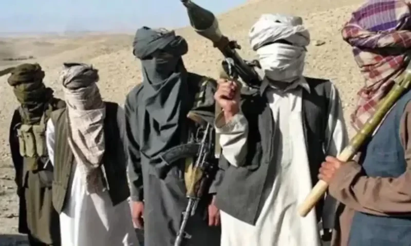 Reports say slain TTP commander was released after fall of Kabul