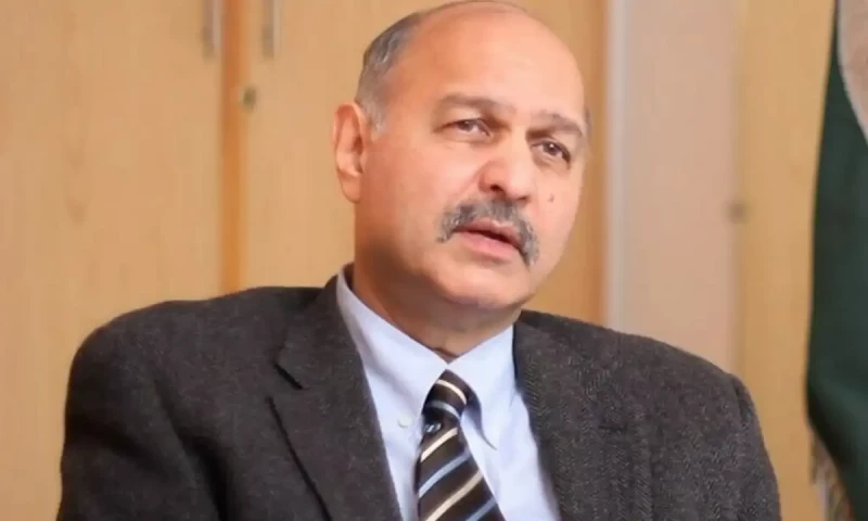 Mushahid becomes first Pakistani to address BRICS forum